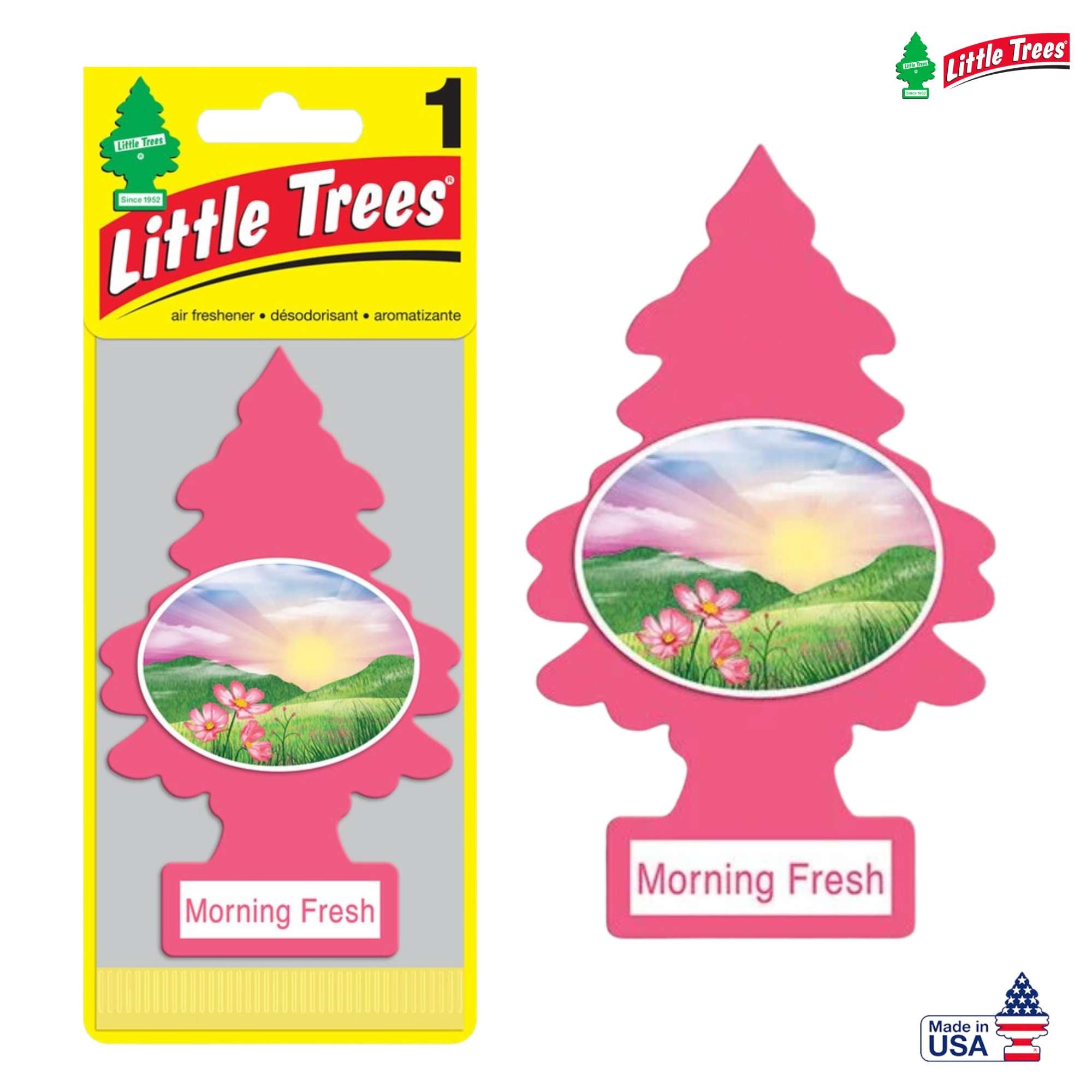 little trees car air freshener morning fresh